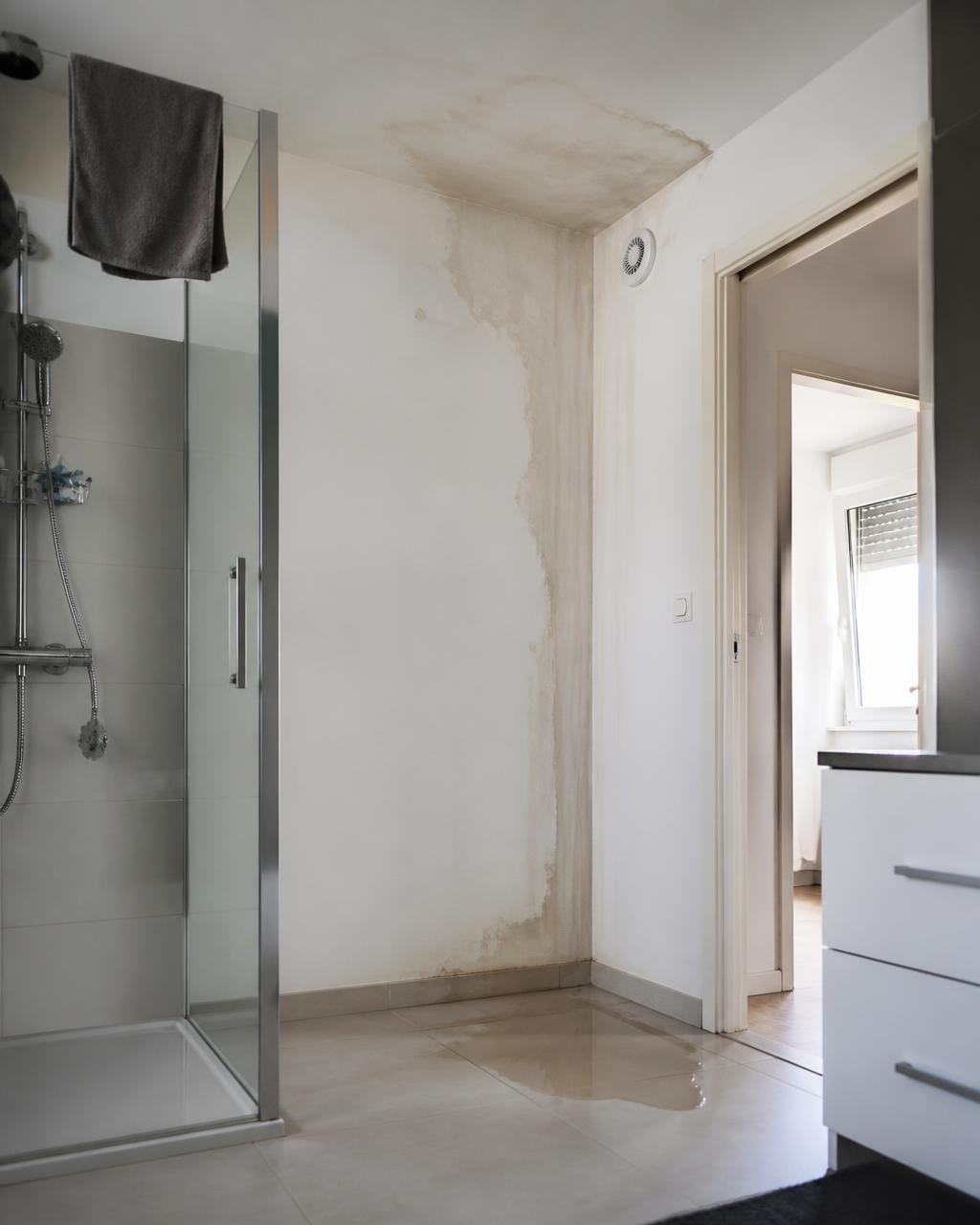 Dégât des eaux dans un logement récent : tache au plafond et flaque au sol